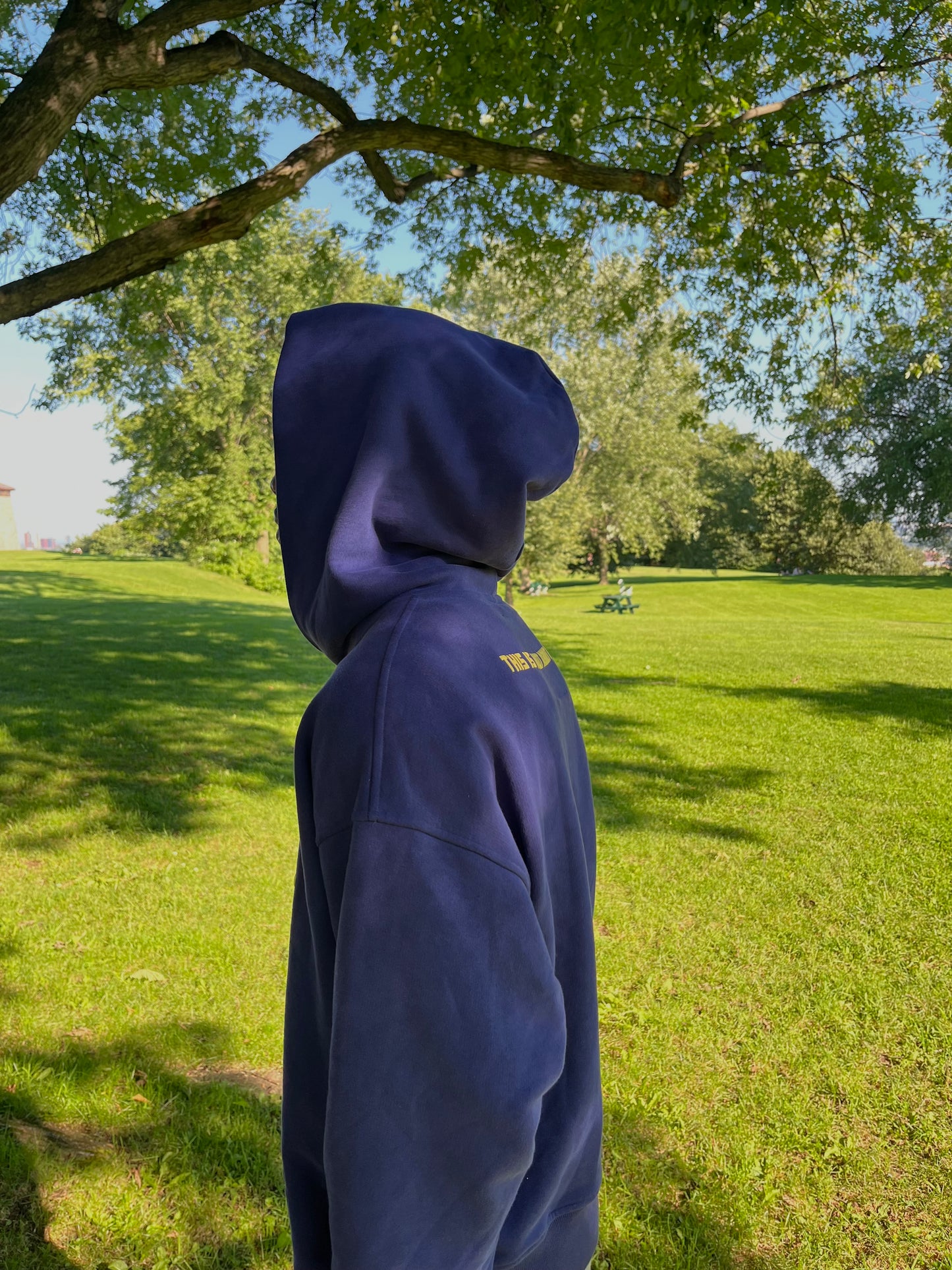 My Dream Is Hoodie