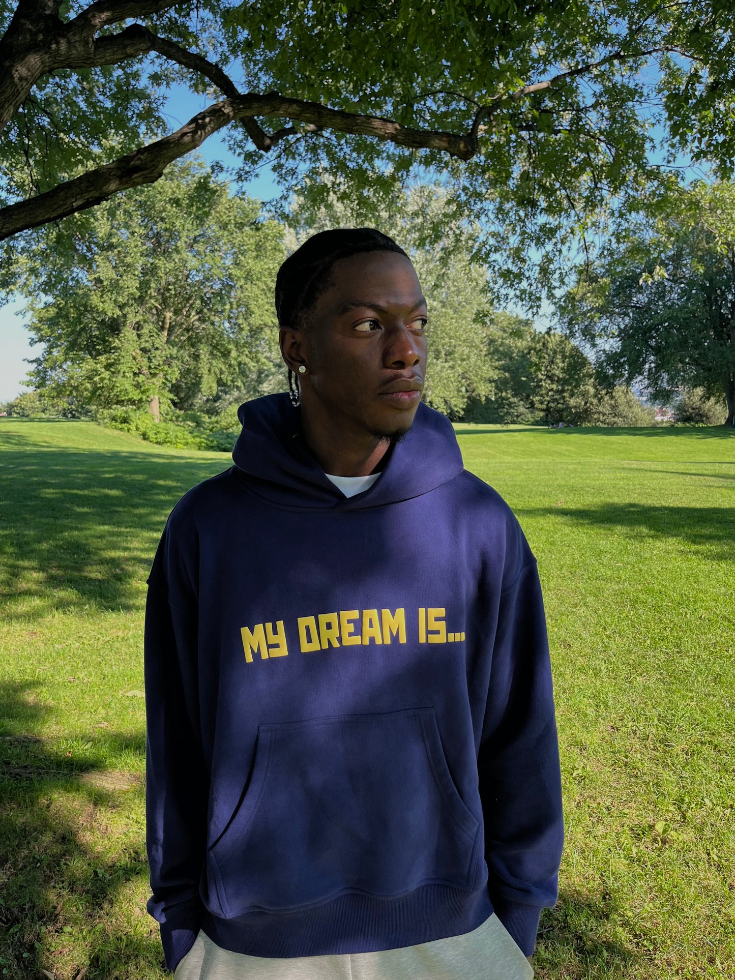 My Dream Is Hoodie